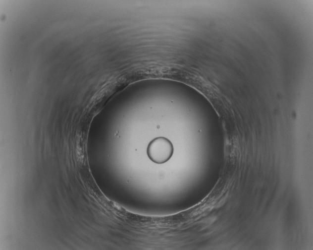 X0000062931202200601181301