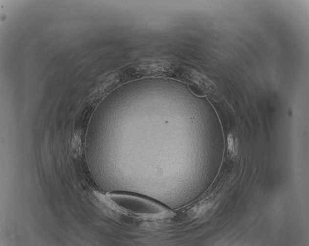 X0000062931203200601181301