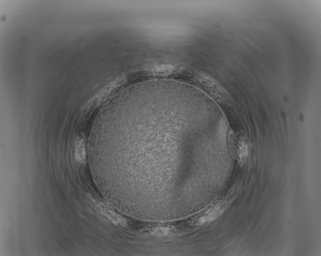 X0000062931204200601181301