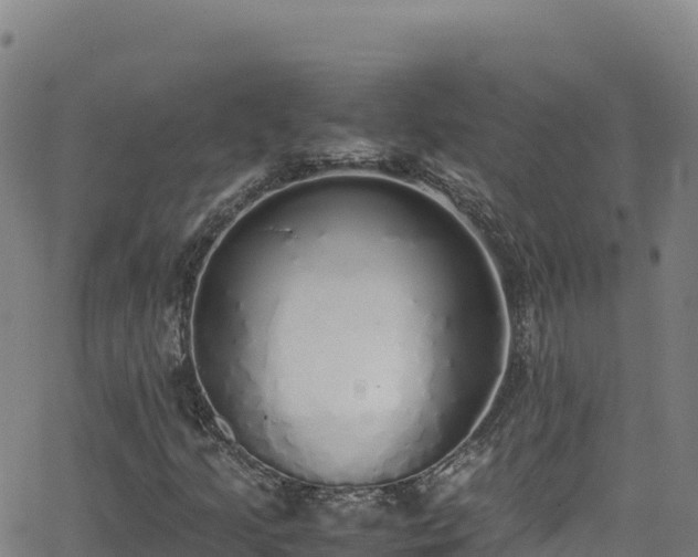 X0000062931205200601181301