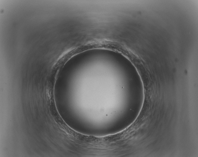 X0000062931206200601181301