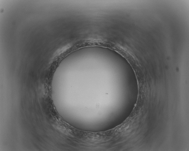 X0000062931207200601181301