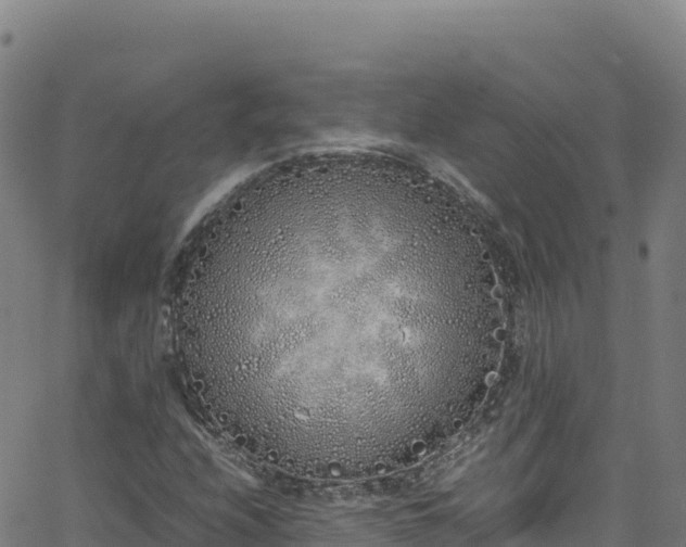 X0000062931208200601181301