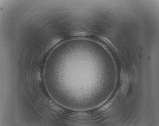 X0000062931209200601181301