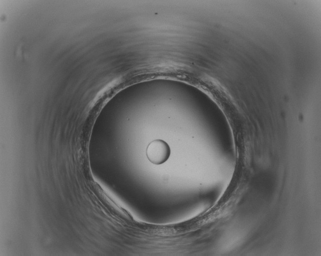 X0000062931210200601181301