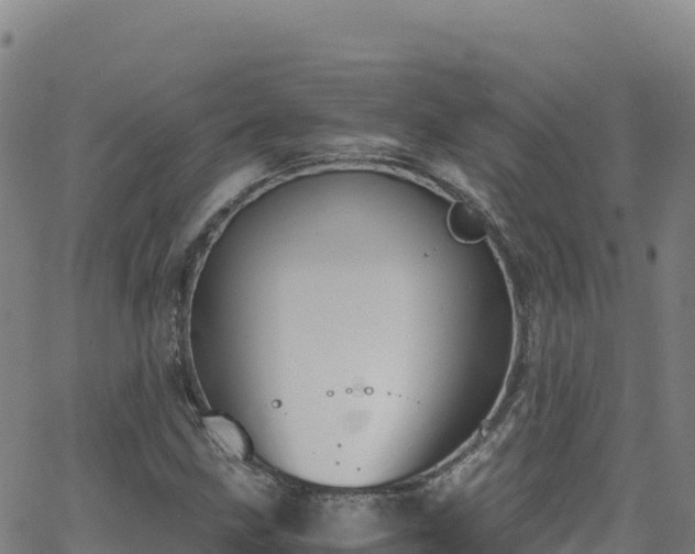 X0000062931211200601181301