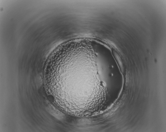 X0000062931212200601181301