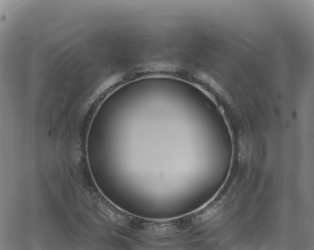 X0000062931213200601181301