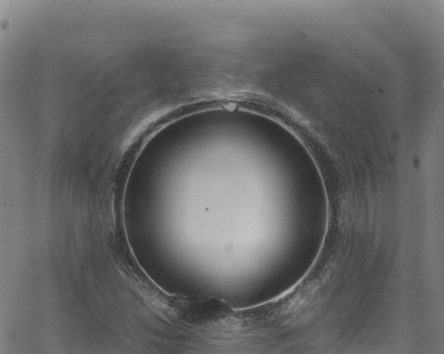 X0000062931214200601181301