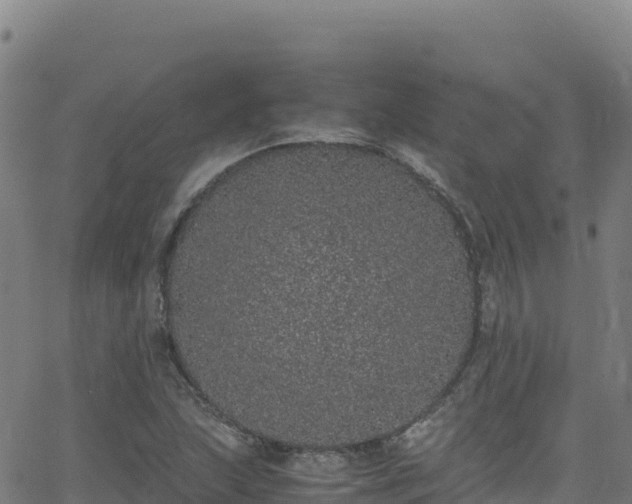 X0000062931215200601181301