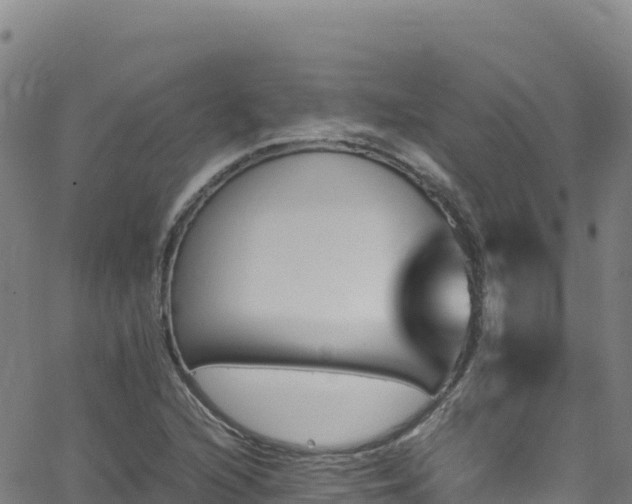 X0000062931216200601181301