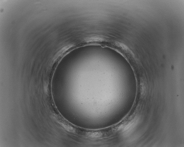 X0000062931217200601181301