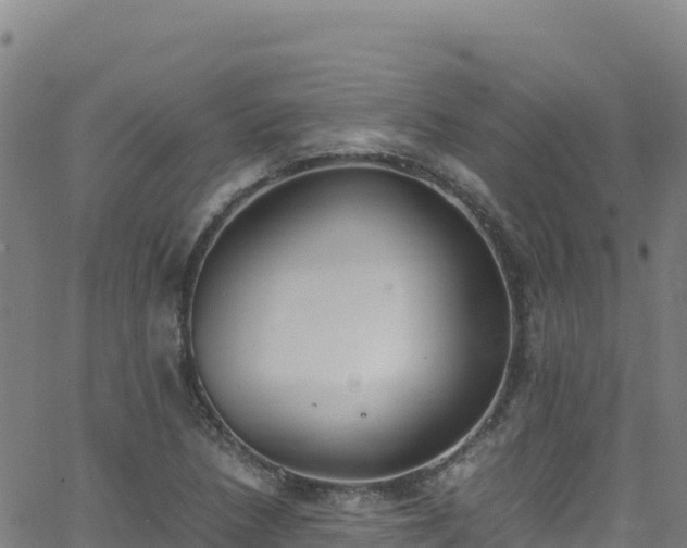 X0000062931218200601181301