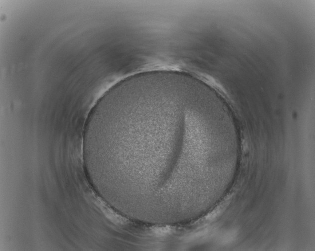 X0000062931220200601181301