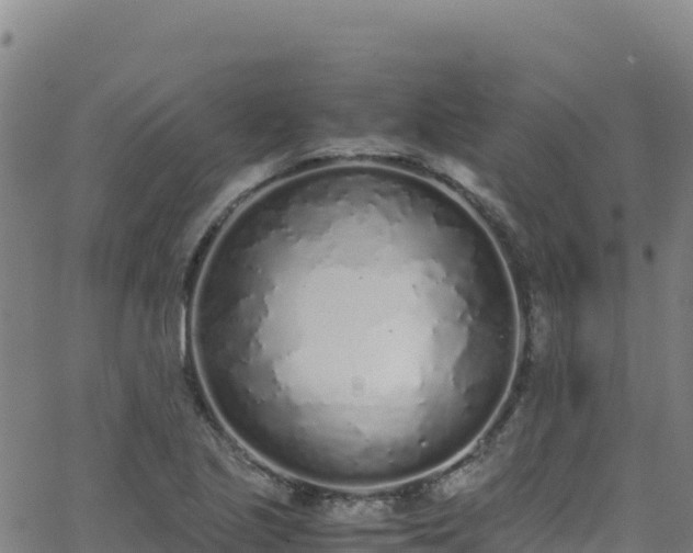 X0000062931221200601181301