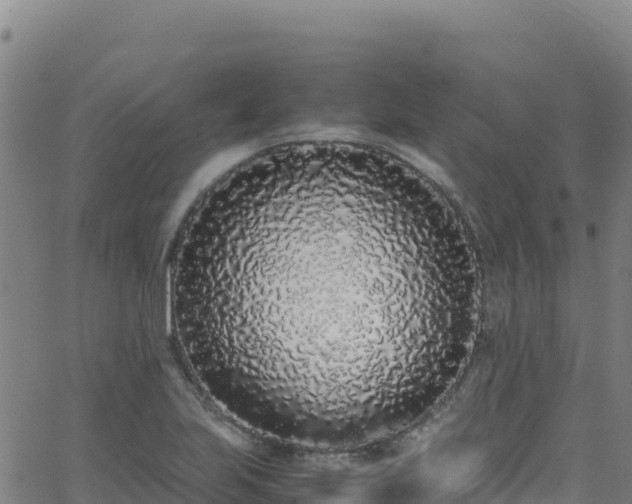 X0000062931223200601181301