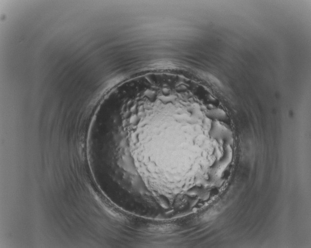 X0000062931225200601181301