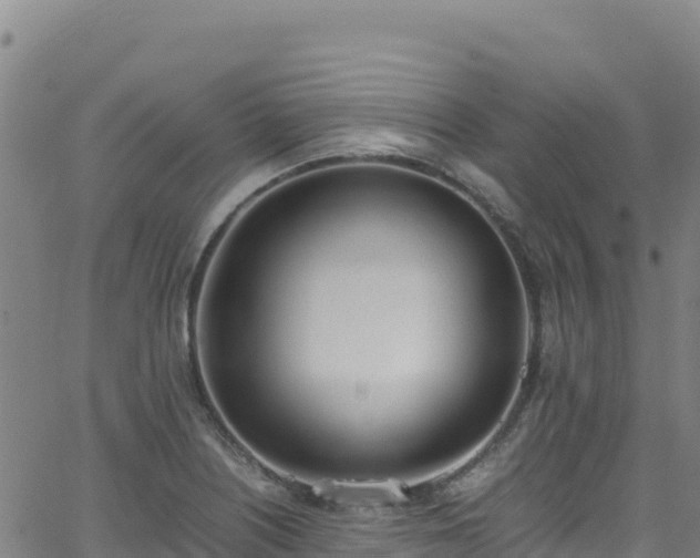 X0000062931226200601181301