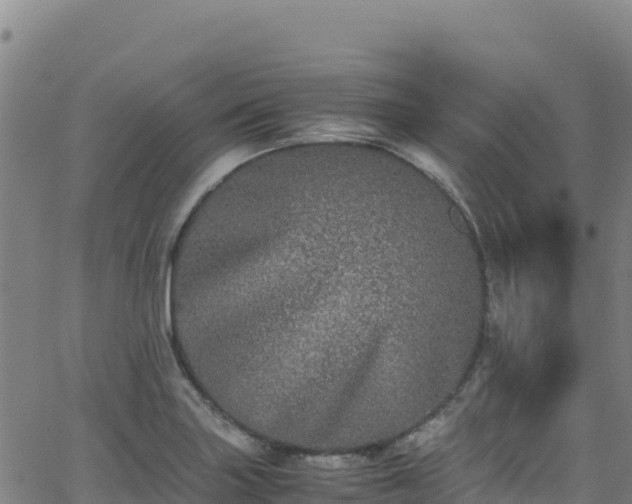 X0000062931227200601181301