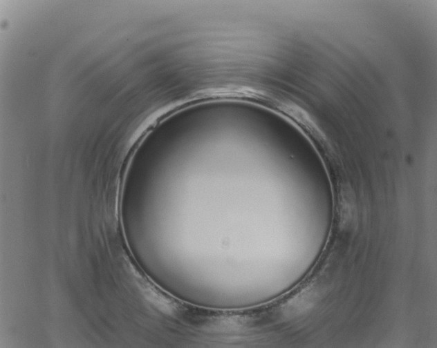 X0000062931228200601181301