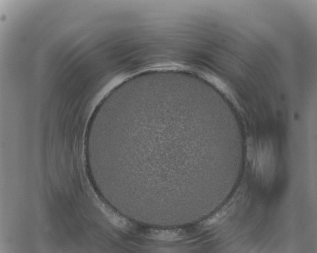 X0000062931229200601181301