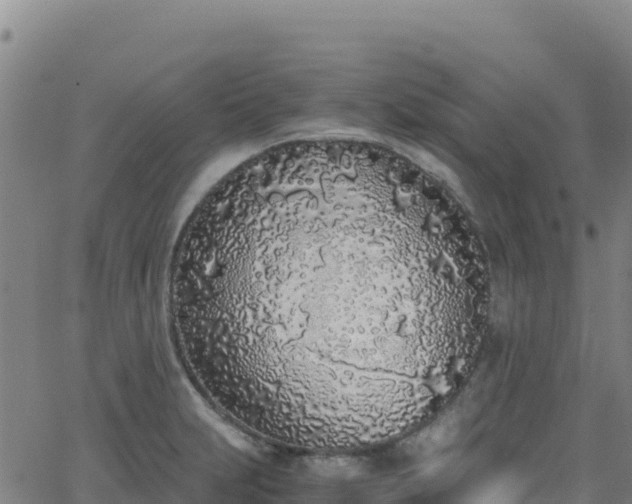 X0000062931231200601181301