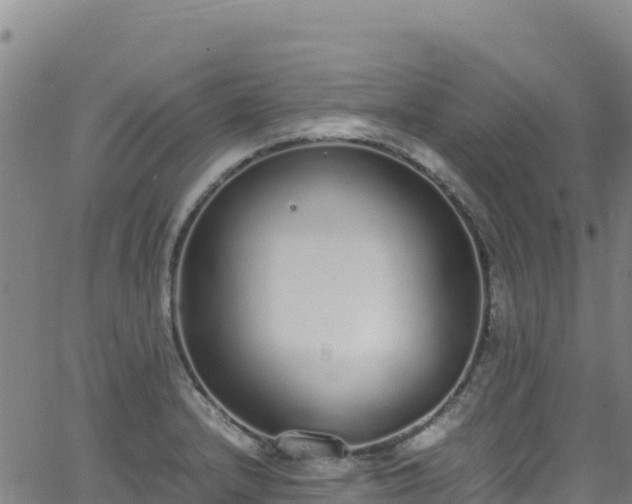 X0000062931232200601181301