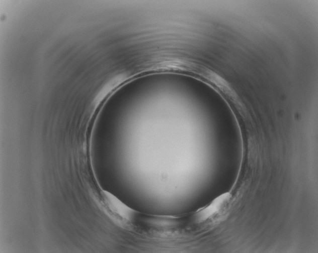 X0000062931234200601181301