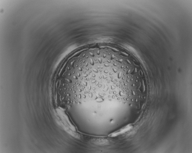 X0000062931235200601181301