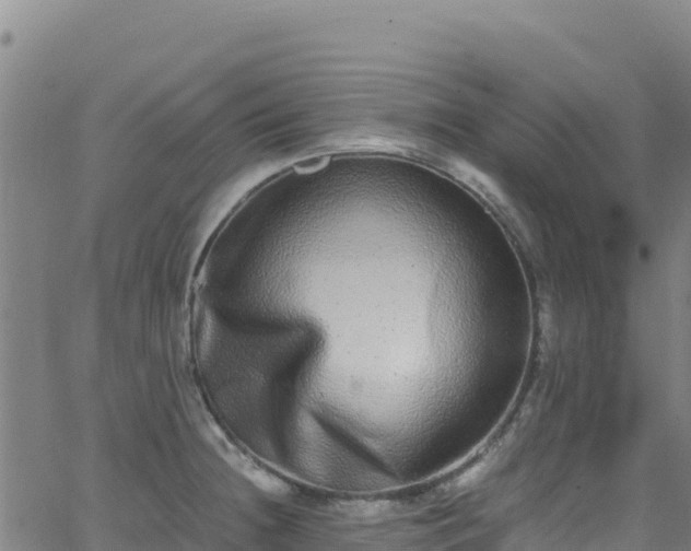 X0000062931236200601181301