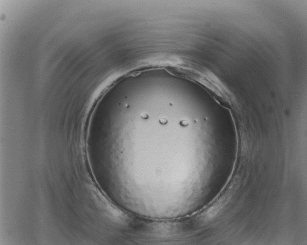 X0000062931240200601181301