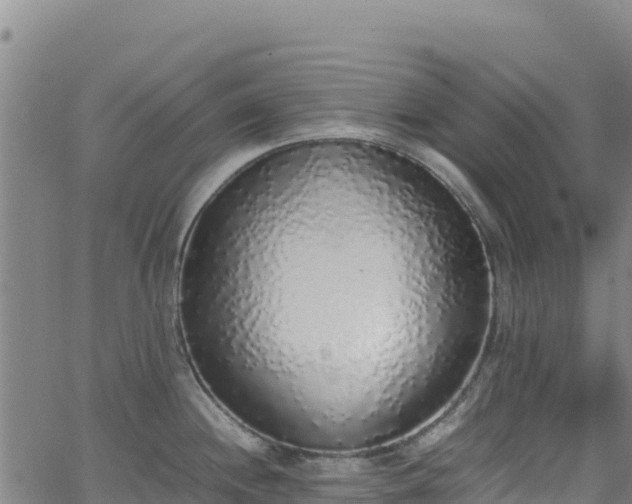 X0000062931244200601181302