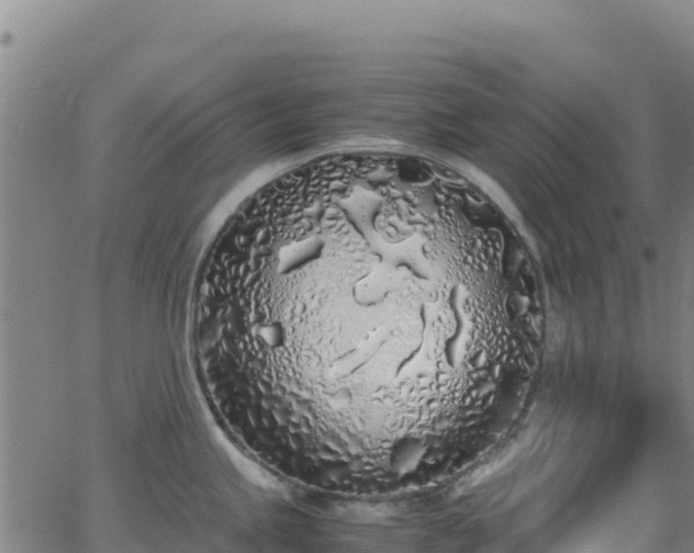 X0000062931245200601181302