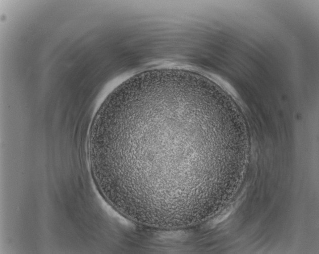 X0000062931247200601181302