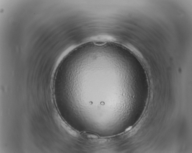 X0000062931248200601181302