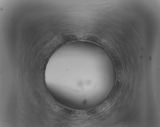 X0000062931249200601181301