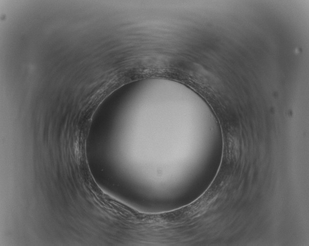 X0000062931250200601181301