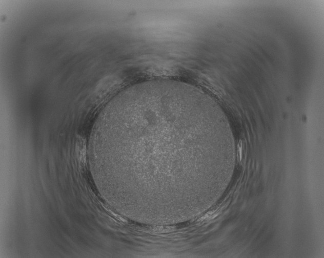 X0000062931251200601181301