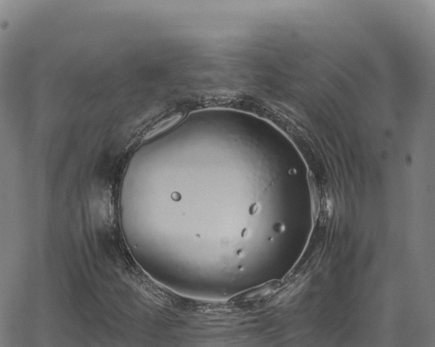 X0000062931252200601181301