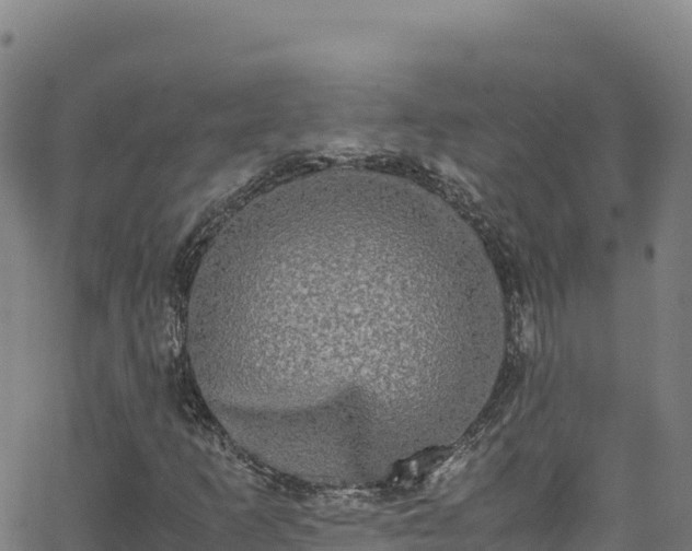 X0000062931253200601181301