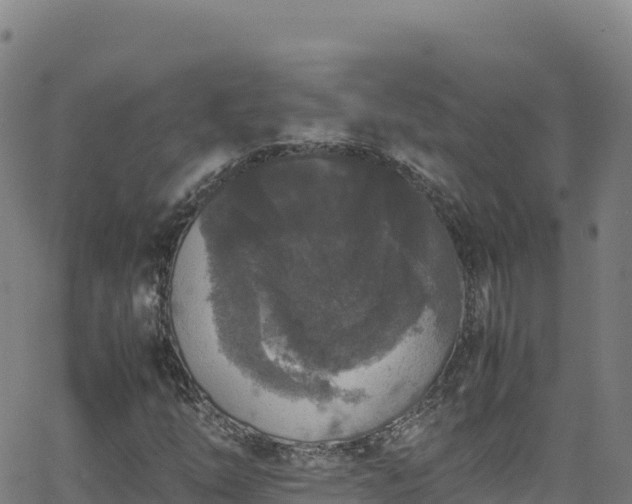 X0000062931254200601181301