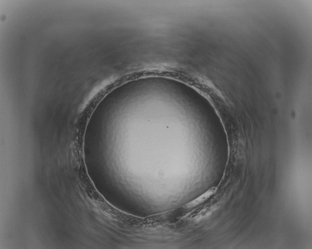 X0000062931256200601181301