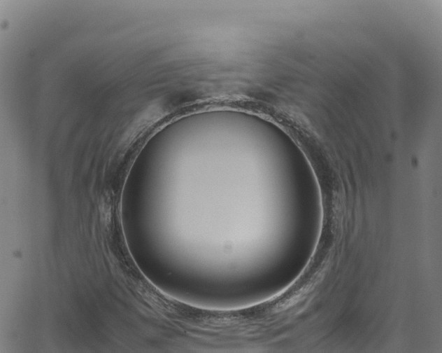 X0000062931257200601181301