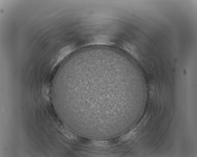 X0000062931258200601181301