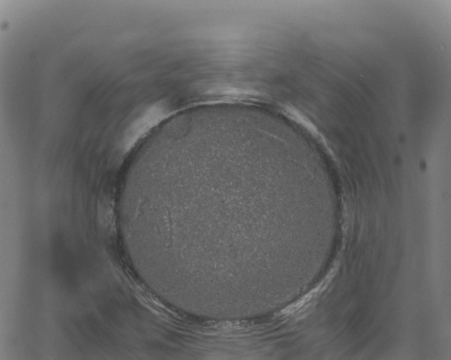 X0000062931259200601181301