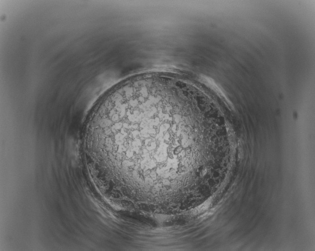 X0000062931260200601181301