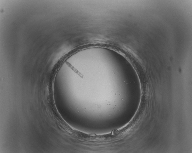 X0000062931261200601181301