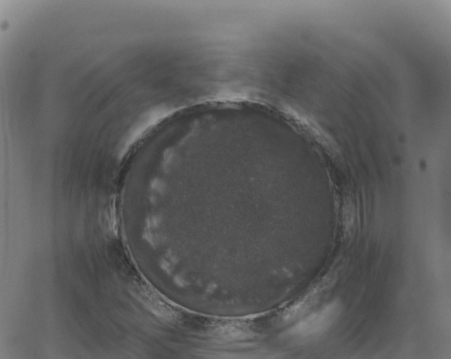 X0000062931262200601181301