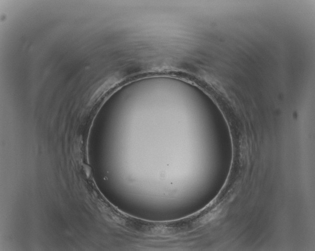 X0000062931265200601181301