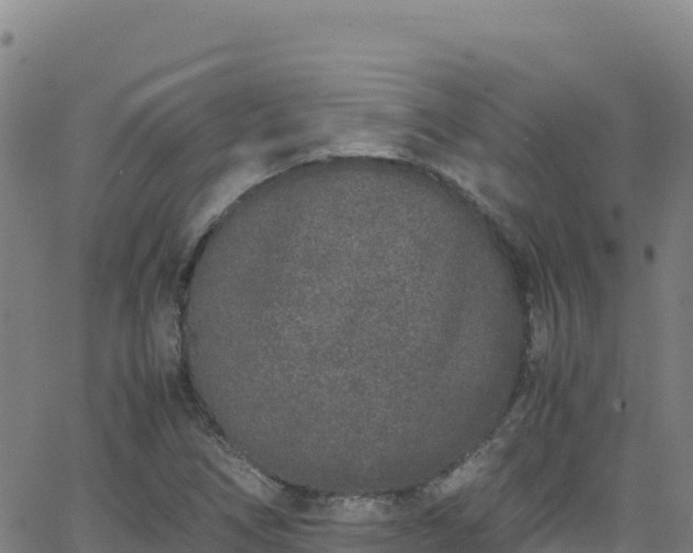 X0000062931266200601181301